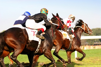 3 Horse Race