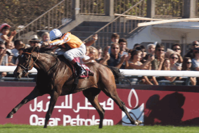 Danedream Winning 2011 Prix De L'Arc De Triomphe