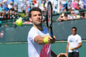 Gregor Dimitrov Playing Tennis Backhand Shot