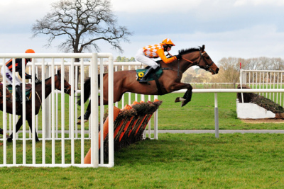 Horse Jumping Hurdle