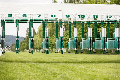 Horse Racing Starting Stalls