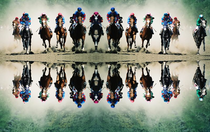 Horses