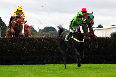 Horses Jumping Fence