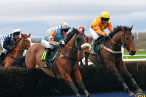 Horses Jumping Fence
