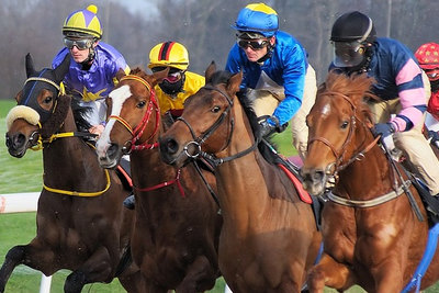Horses Racing in a Group