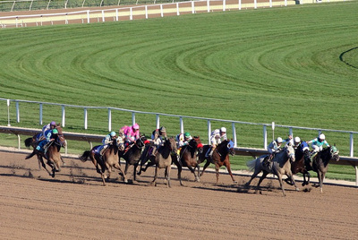 Horses Racing in a Group on Dirt
