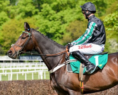 Altior Horse