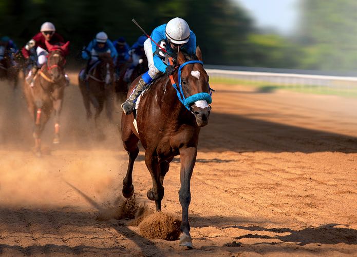 Horse racing odds